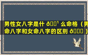 男性女八字是什 🌹 么命格（男命八字和女命八字的区别 🐈 ）